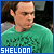  Big Bang Theory: Sheldon Cooper: 