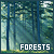  Forests: 