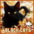  Black Cats: 